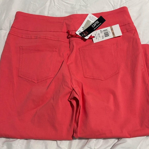 Ruby Rd. Pink Ankle Pants - Picture 3 of 4